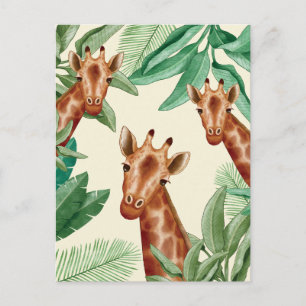 Vintage Illustrations Of Giraffe Postcard