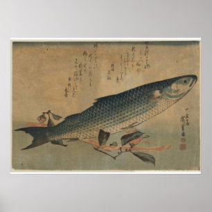 Vintage Image of Japanese Striped Mullet - Canvas Poster