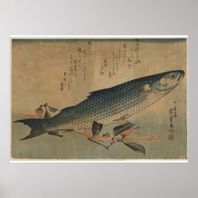 Vintage Image of Japanese Striped Mullet - Canvas Poster (Front)