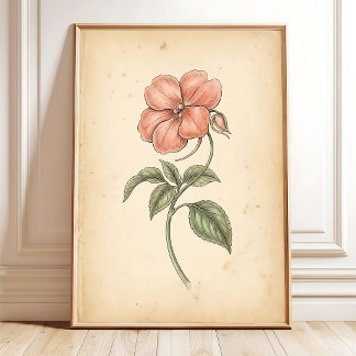 Vintage Impatiens Flower Framed Art Poster