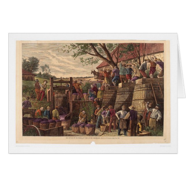 Vintage in California (0604A) (Front Horizontal)