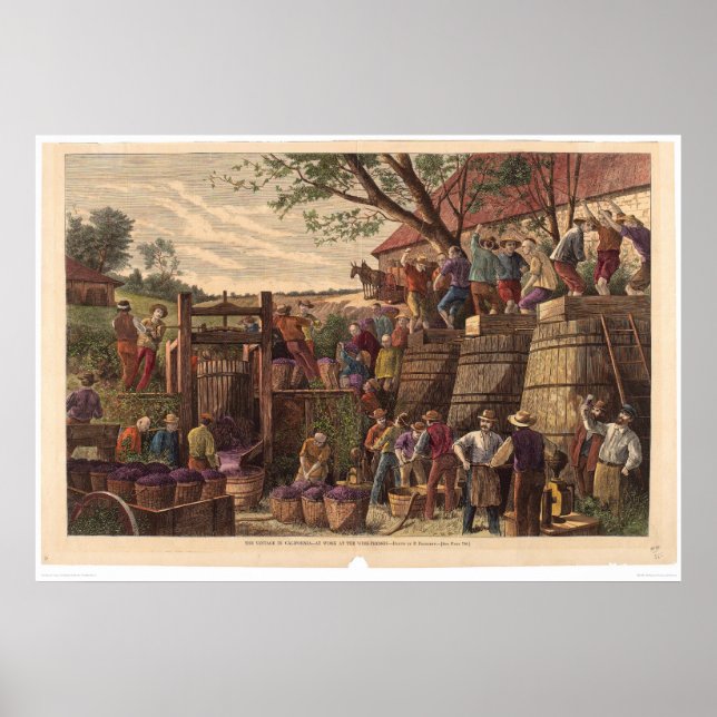 Vintage in California (0604A) Poster (Front)