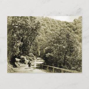 Vintage India, Road to Simla Postcard