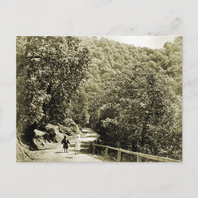 Vintage India, Road to Simla Postcard (Front)
