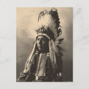 Vintage indian : Hubble Big Horse, Cheyenne - Postcard