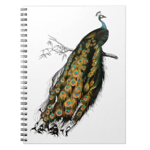 Vintage indian peafowl bird notebook