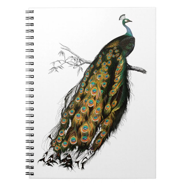 Vintage indian peafowl bird notebook (Front)