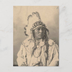 Vintage indian : Spotted Jack Rabbit, Crow - Postcard