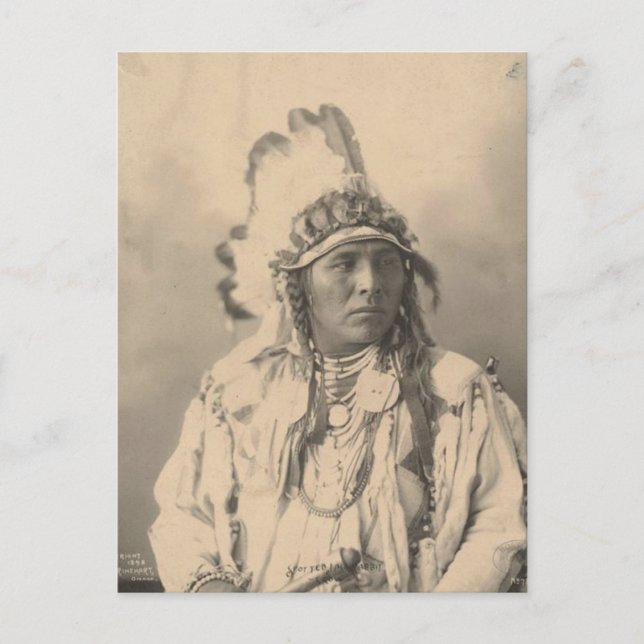 Vintage indian : Spotted Jack Rabbit, Crow - Postcard (Front)