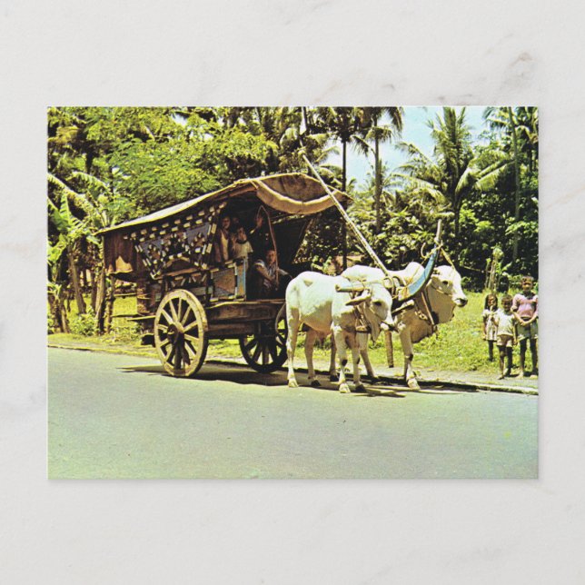 Vintage Indonesia, Gerobag, central Java Postcard (Front)