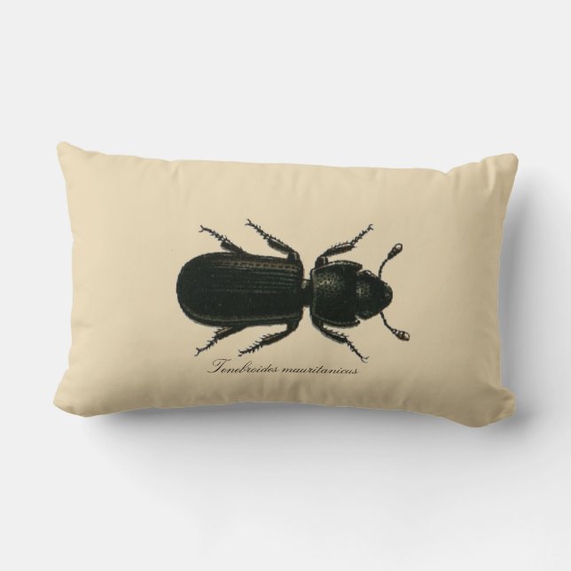 Vintage Insect Cadelle Beetle Entomology Revers. Lumbar Cushion (Back)
