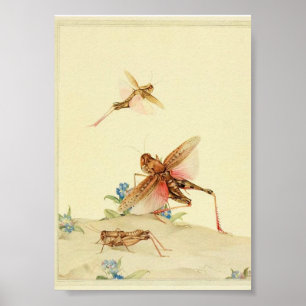 Vintage Insect Illustration Poster