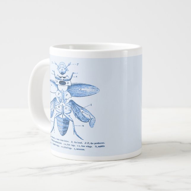 Vintage Insect Image | Beetles | Blue Large Coffee Mug (Front Left)