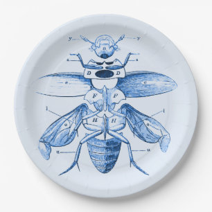 Vintage Insect Image Beetles Blue Paper Plate