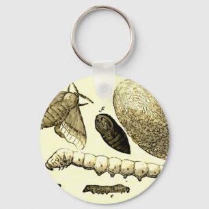 Vintage Insect Image Silkworm Moth Key Ring