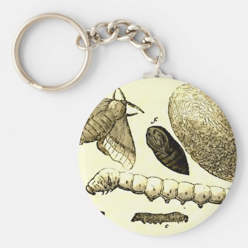 Vintage Insect Image | Silkworm | Moth Key Ring