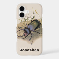 Vintage Insects and Bugs, Rhino Rhinoceros Beetle