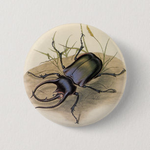 Vintage Insects and Bugs, Rhino Rhinoceros Beetle 6 Cm Round Badge