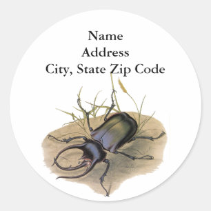 Vintage Insects and Bugs, Rhino Rhinoceros Beetle Classic Round Sticker