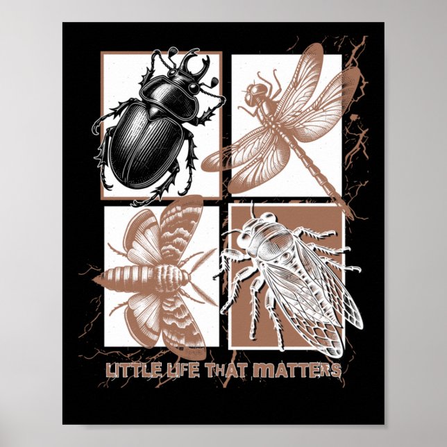 Vintage Insects - Beetle  Poster (Front)