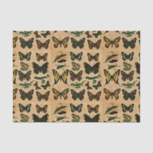 Vintage Insects Butterfly's Collection Decoupage Tissue Paper