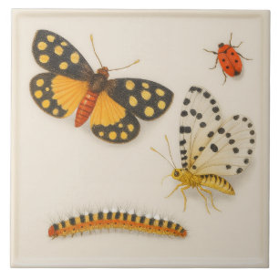 Vintage Insects Ceramic Tile