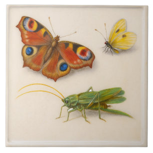 Vintage Insects Ceramic Tile