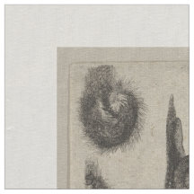 Vintage Insects Entomology Lepidoptera Tapestry