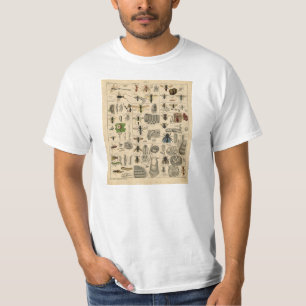 Vintage Insects Entomology Taxonomy T-Shirt