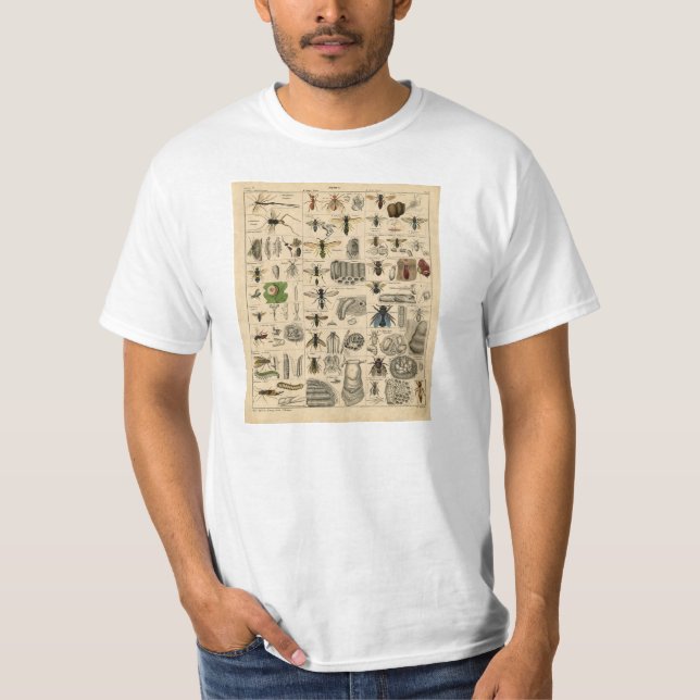 Vintage Insects Entomology Taxonomy T-Shirt (Front)