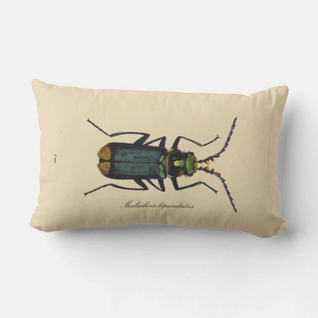 Vintage Insects Malachite Beetle Entomology Revers Lumbar Cushion (Back)