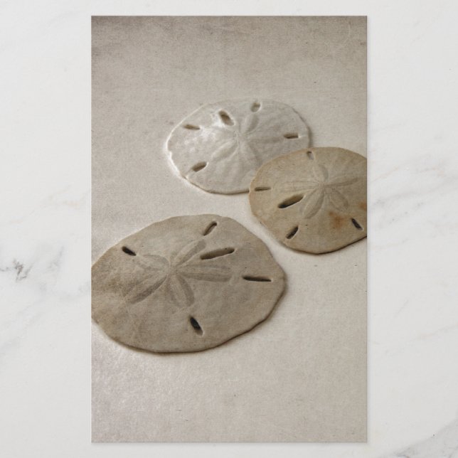 Vintage Inspired Sand Dollars Stationery (Front)