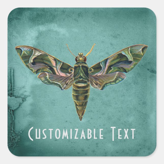 Vintage Iridescent Moth Customisable Square Sticker (Front)
