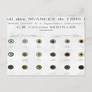 Vintage Iris Colour Chart Postcard
