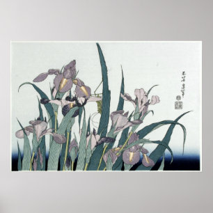 Vintage Irises And A Locust by Katsushika Hokusia Poster