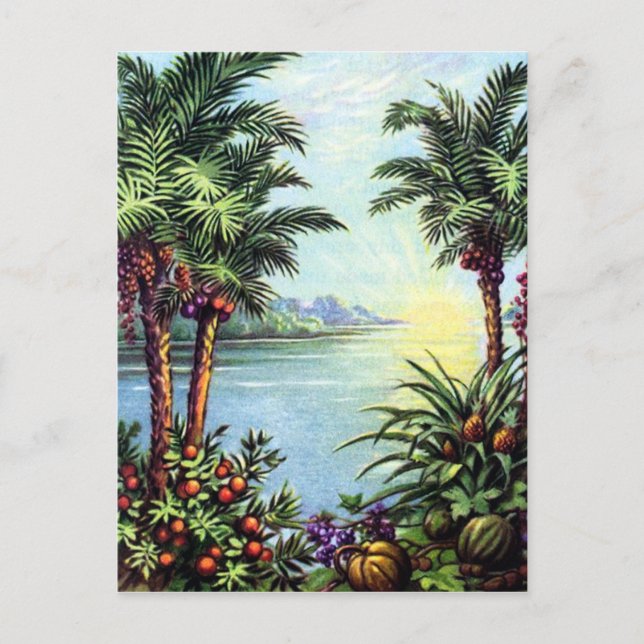 Vintage Island Postcard (Front)