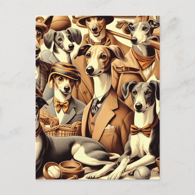 Vintage Italian Greyhound Illustration Postcard (Front)