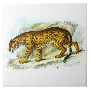 Vintage Jaguar Animal Illustration Tile