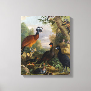 Vintage Jakob Bogdani Birds in A Landscape Canvas Print