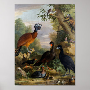 Vintage Jakob Bogdani Birds in A Landscape   Poster