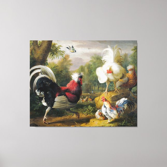 Vintage Jakob Bogdani  The Cockrels Fight  Canvas Print (Front)