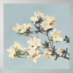 Vintage Japanese Azaleas Wall Art