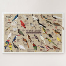 Vintage Japanese Bird Atlas Illustration