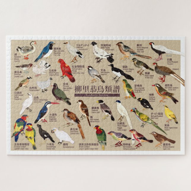 Vintage Japanese Bird Atlas Illustration Jigsaw Puzzle (Horizontal)
