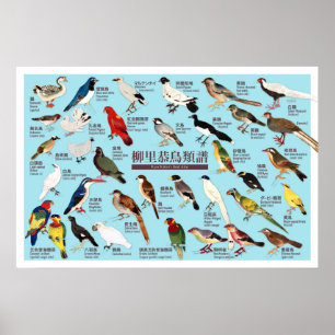 Vintage Japanese Bird Atlas Illustration Poster