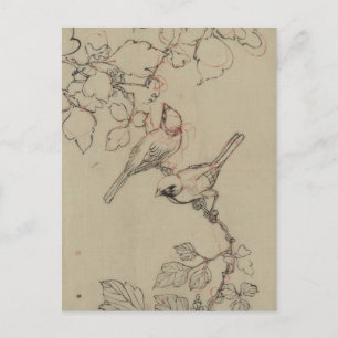 Vintage Japanese Birds Image Postcard