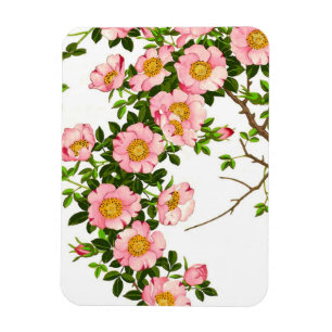 Vintage Japanese Cherry Blossoms, Pink and Gold Magnet