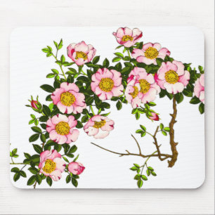 Vintage Japanese Cherry Blossoms, Pink and Gold Mouse Mat