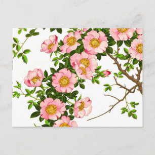 Vintage Japanese Cherry Blossoms, Pink and Gold Postcard
