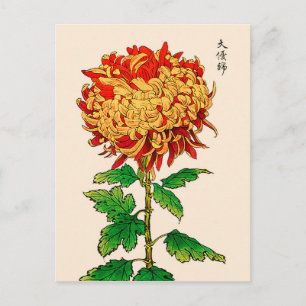 Vintage Japanese Chrysanthemum. Gold and Orange Postcard